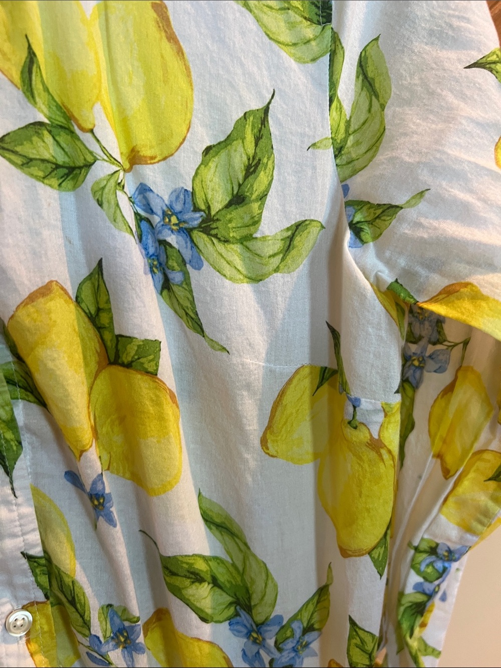 Talbots Women's Lemon Print Button-Front Blouse - White/Yellow/Green - Picture 8 of 11